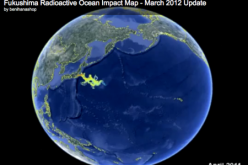 Ocean Radiation Plume Hits Hawaii From Fukushima Nuclear Meltdown