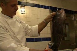 Video: Radiation in Pacific Seafood Prompts Restaurants To Remove from Menus