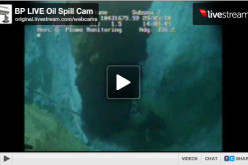 BP Live Oil Spill Cam Archive