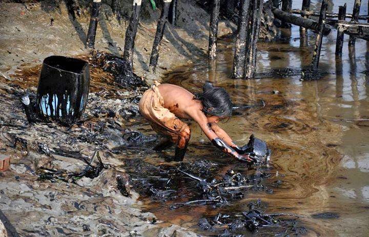 cleaning-up-the-sunbarbans-oil-spill