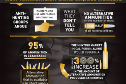 New Bill BANS Online Ammo Sales, Imposes Other Severe Restrictions