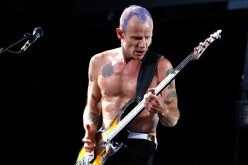 Red Hot Chili Peppers’ Bassist is now a Beekeeper with over 200,000 Bees