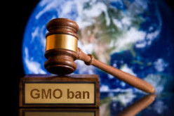 Lawsuit Seeks To Invalidate Monsanto’s GMO Patents