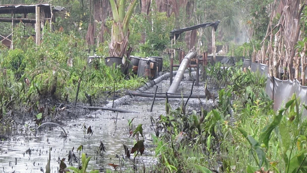 The half ass pipeline running from the centre of Pluspetrol’s operations in the Pacaya Samiria National Reserve in Peru’s Amazon. Photograph: Alianza Arkana/ACODECOSPAT