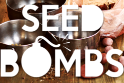 Guerrilla Gardening – How To Make A Seed Bomb