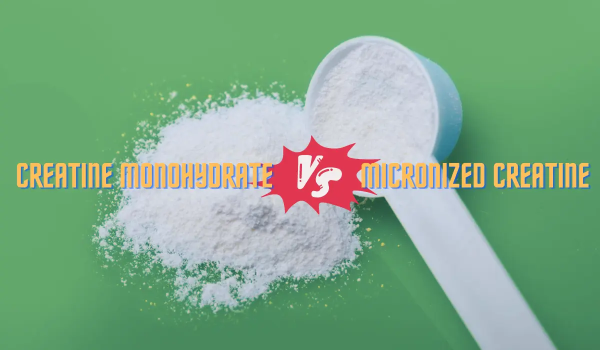 Creatine monohydrate vs Micronized creatine