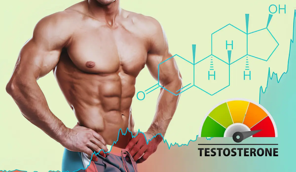 Does Fasting Increase Testosterone Levels