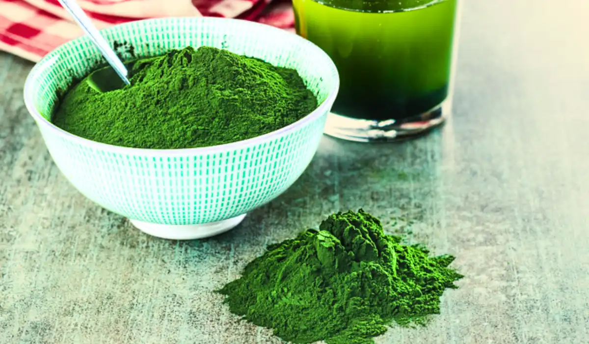 What Is Chlorella