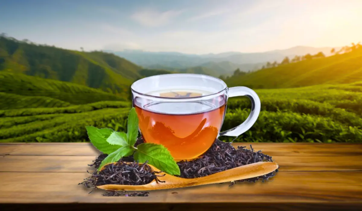 What is Earl Grey Tea